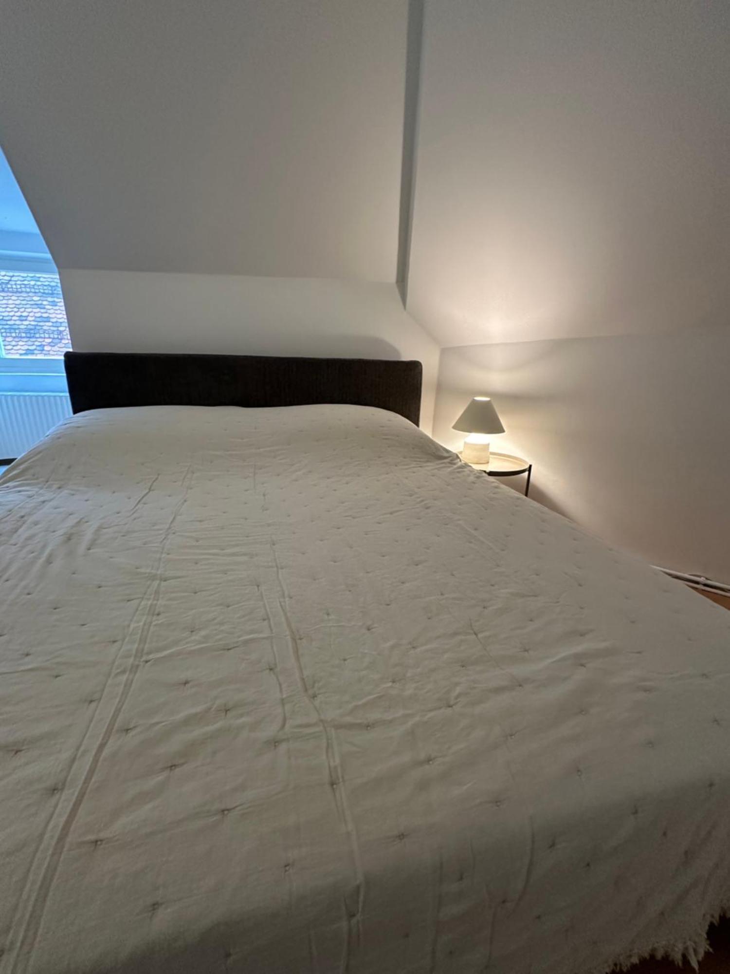 1464, Old Center Apartment