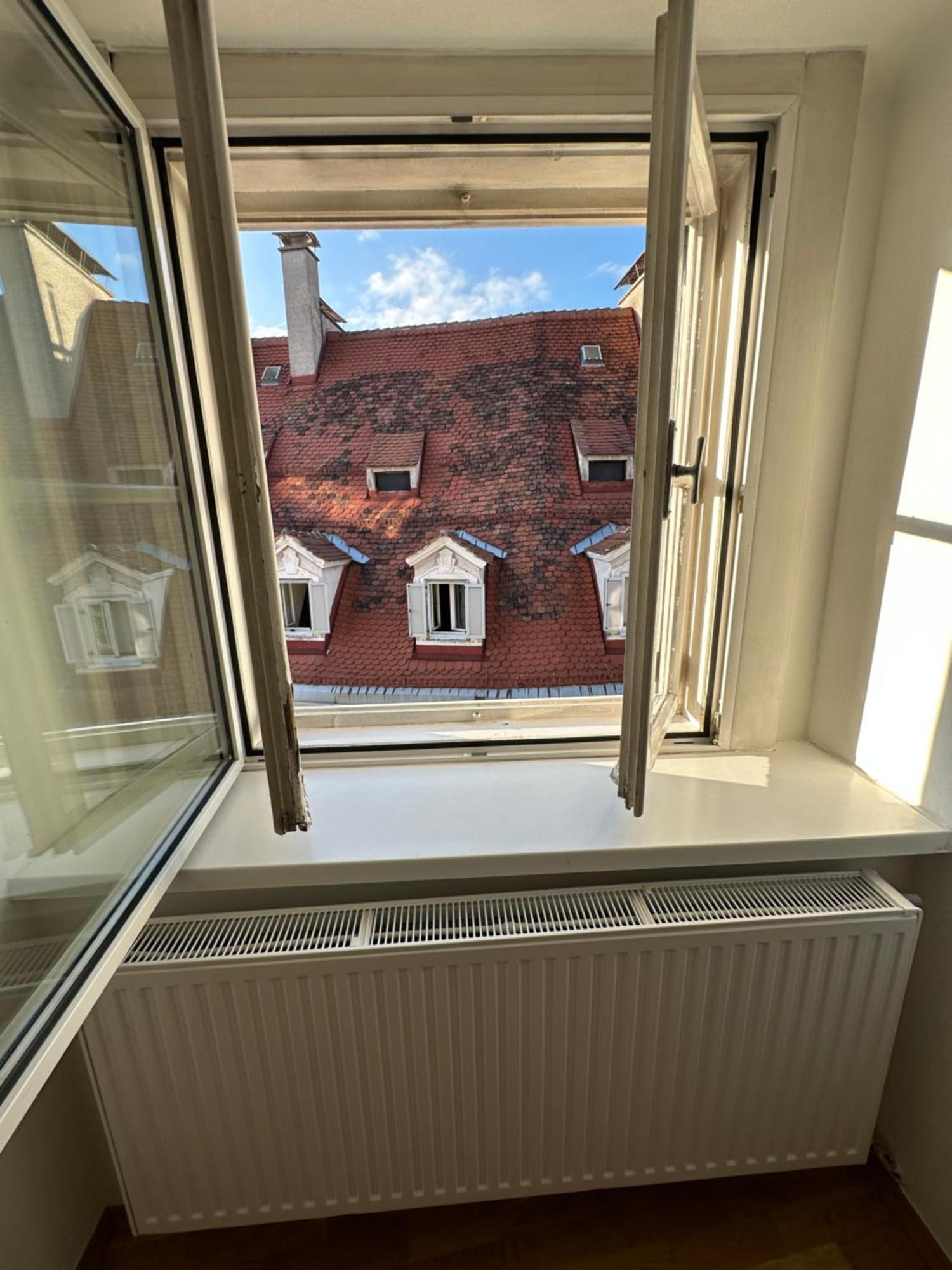 1464, Old Center Apartment Graz