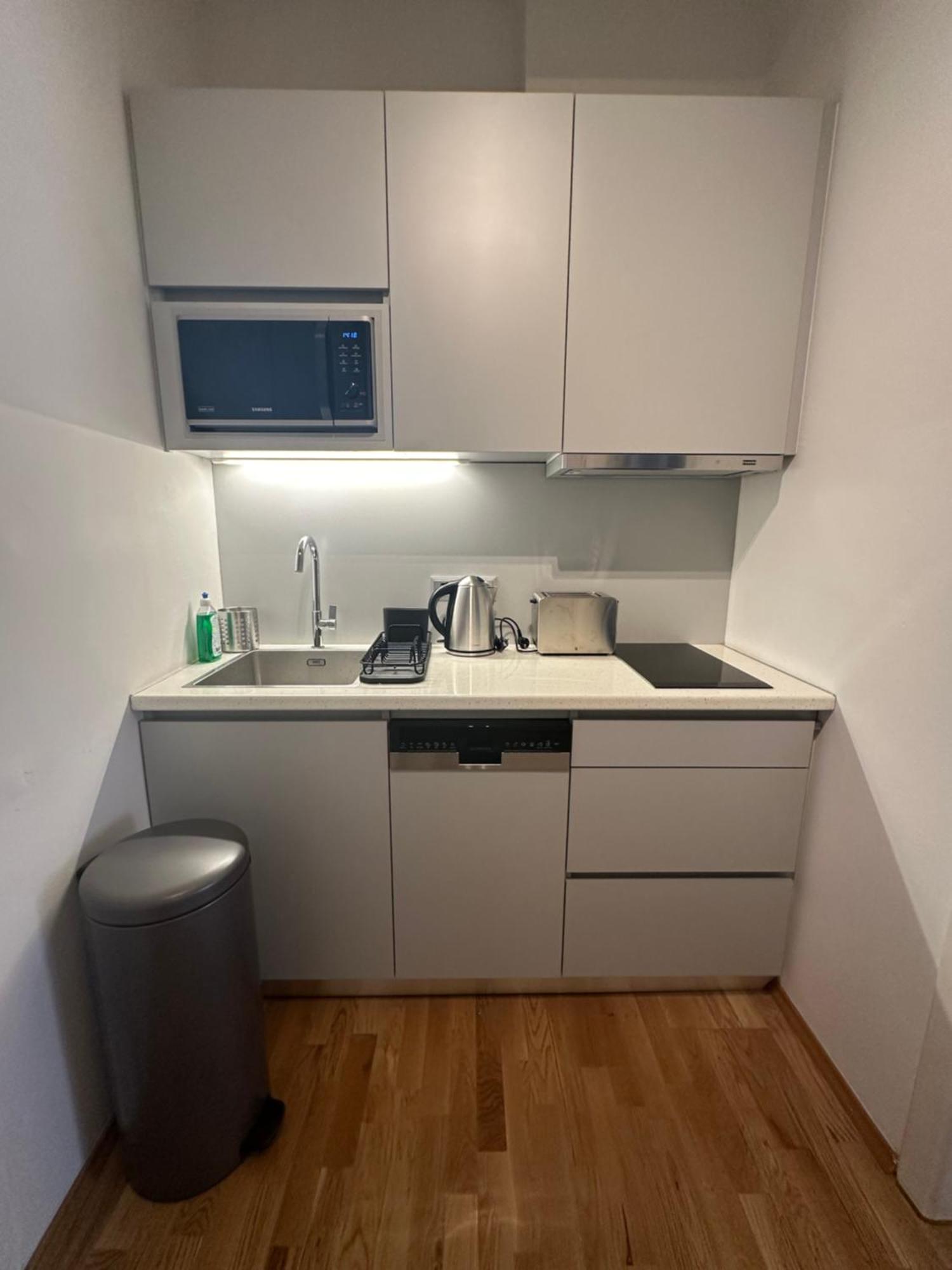 1464, Old Center Apartment Graz